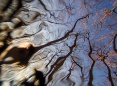 Passage No. 1 - swamp - water - southern photography - abstract photography