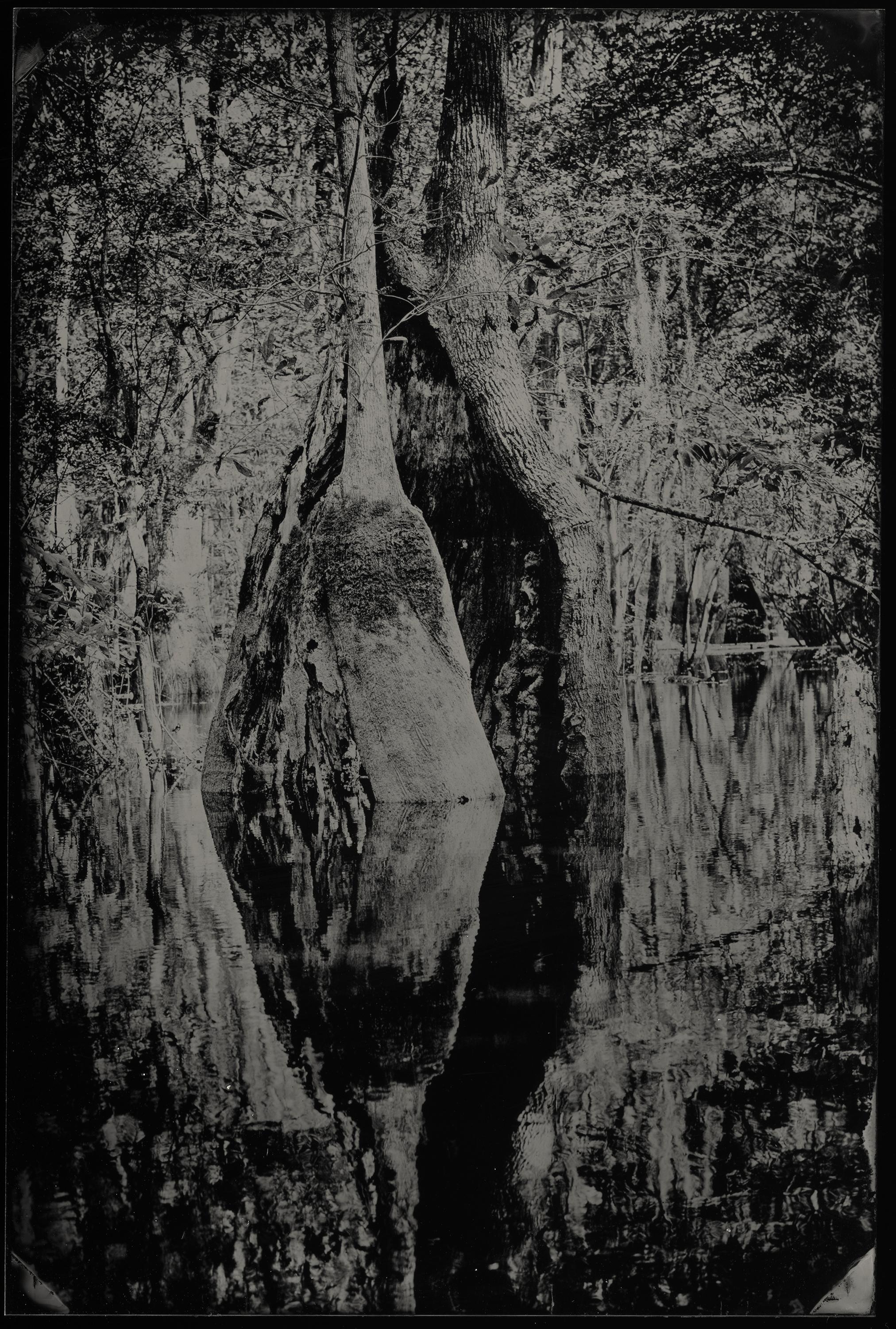 The Creek is Two Surfaces, Bounds Two Worlds, That Touch - wet plate collodion - Photograph by Cecilia Montalvo & Charlie McCullers