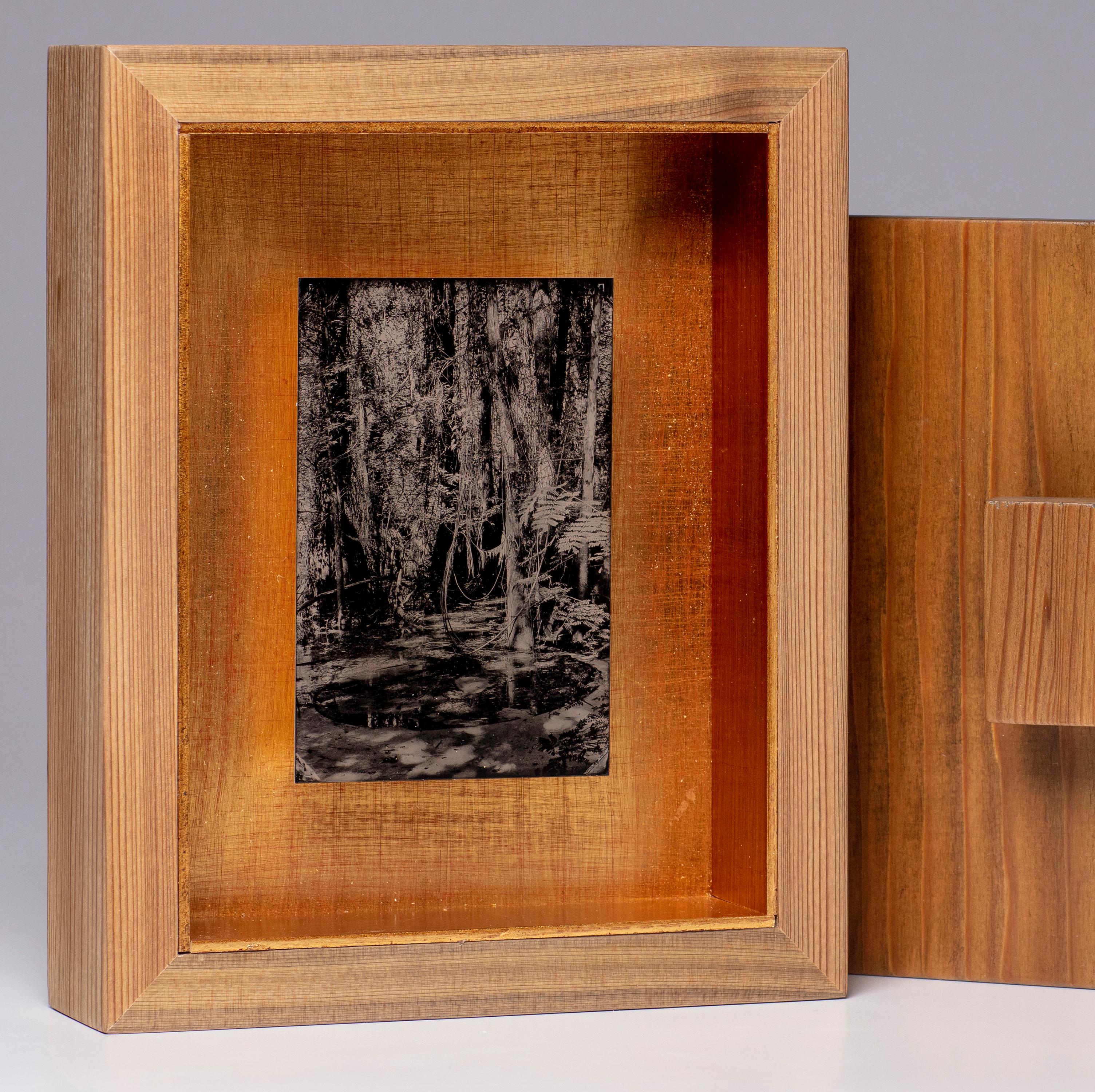 Cecilia Montalvo & Charlie McCullers Landscape Photograph - Tied Together Life - wet plate collodion - swamp - water - southern photography