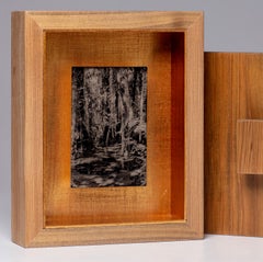 Tied Together Life - wet plate collodion - swamp - water - southern photography