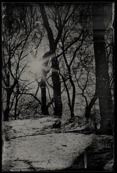 Winter on the Creek - wet plate collodion - swamp - water - southern photography