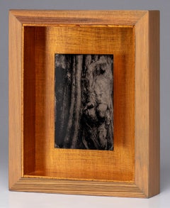 Witness No. 14 - wet plate collodion - swamp - water - southern photography