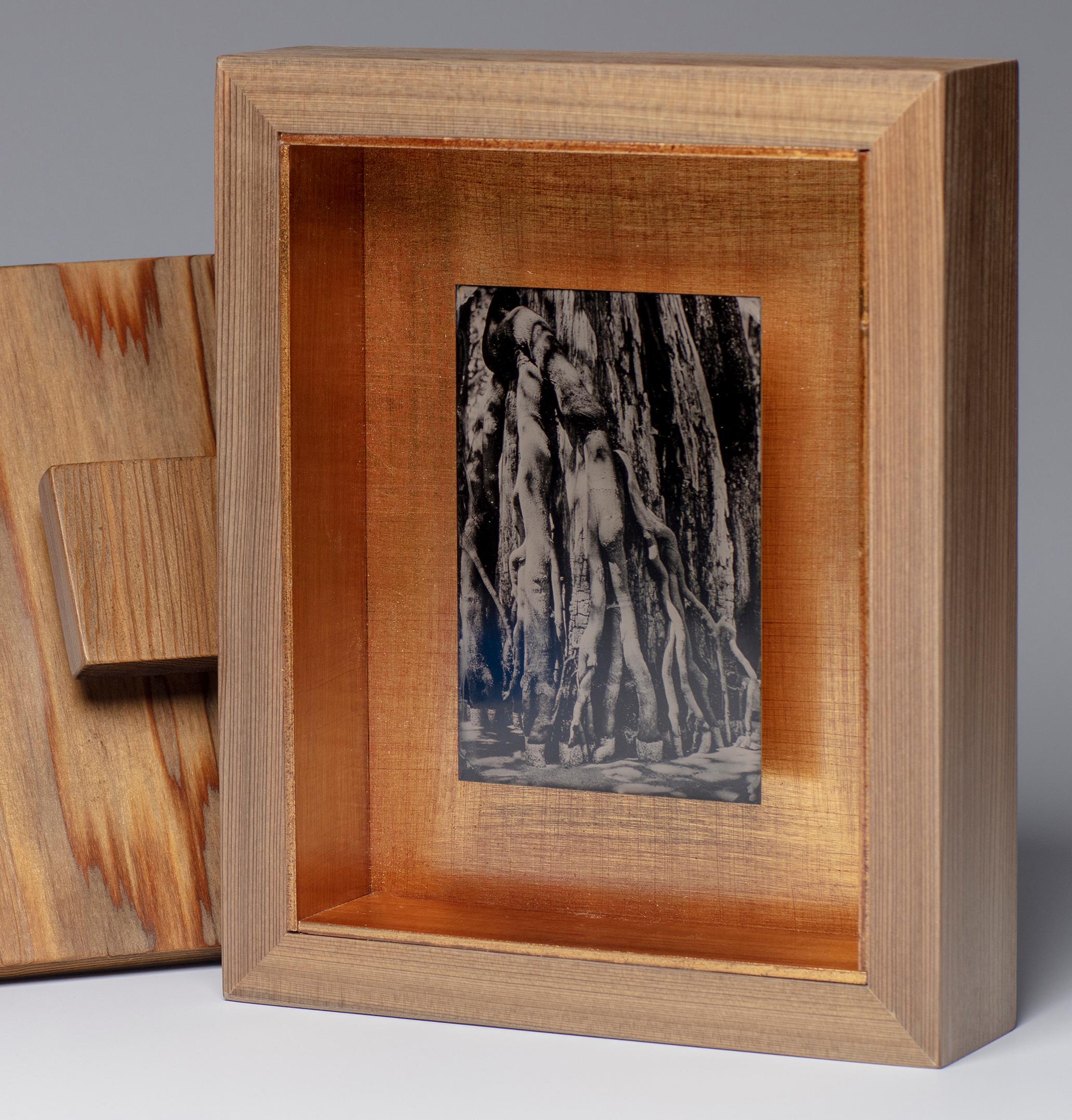 Witness No. 19 - wet plate collodion - swamp - water - southern photography