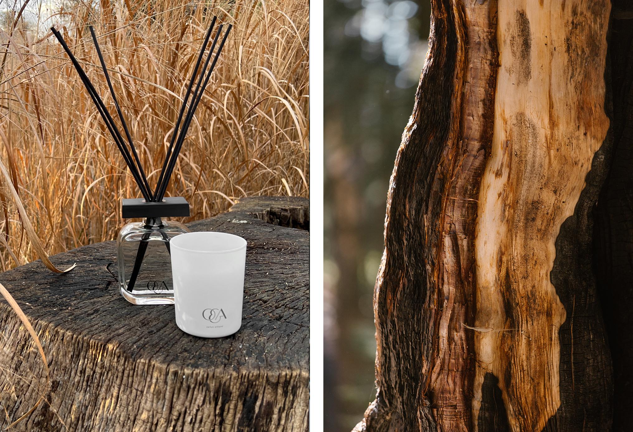 O&A London creates sophisticated scents for your home together with the best perfume houses in Grasse. Individually designed home diffusers will add an indelible impression of your home, literally in the air itself.

Top notes: citrus