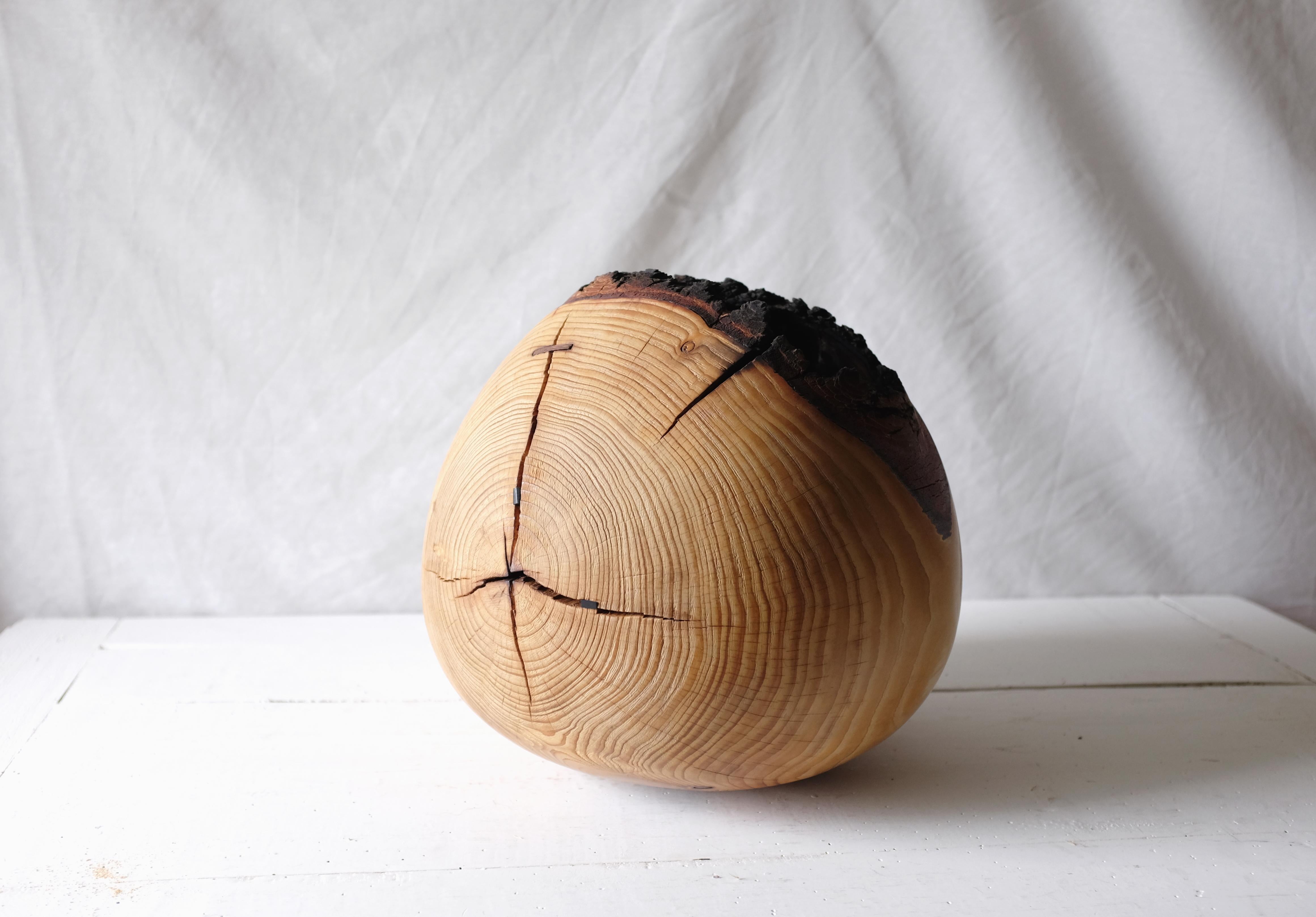 Qercus Rubra #1 by Marco Bellini
Dimensions: 36 H x 36 W cm
Materials: Cedar 
 Fire, lime, wood ashes, beeswax

Marco was born in the middle of the rice fields of Vercelli, Italy, during the Years of Lead. 

He studied philosophy and a bit of