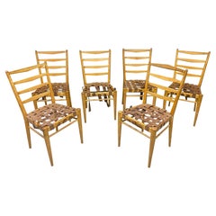 Cees Braackman for Editions Pastoé, Set of 6 Chairs