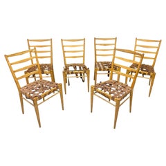 Cees Braackman für Editions Pastoé, 6er-Set Stühle