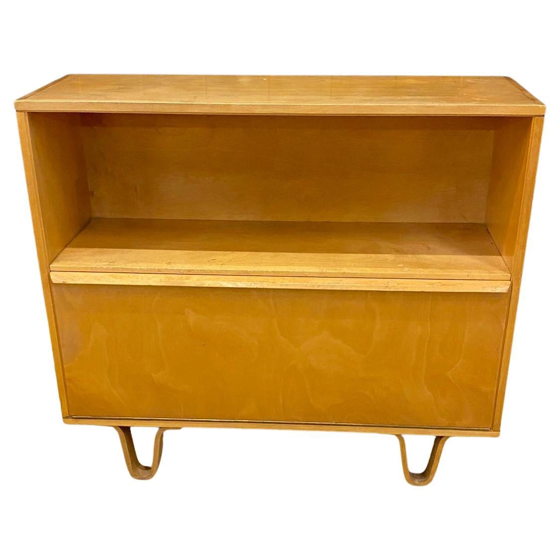 Cees Braackman for  Editions Pastoe Small Side Cabinet, Flap Door circa 1950 For Sale