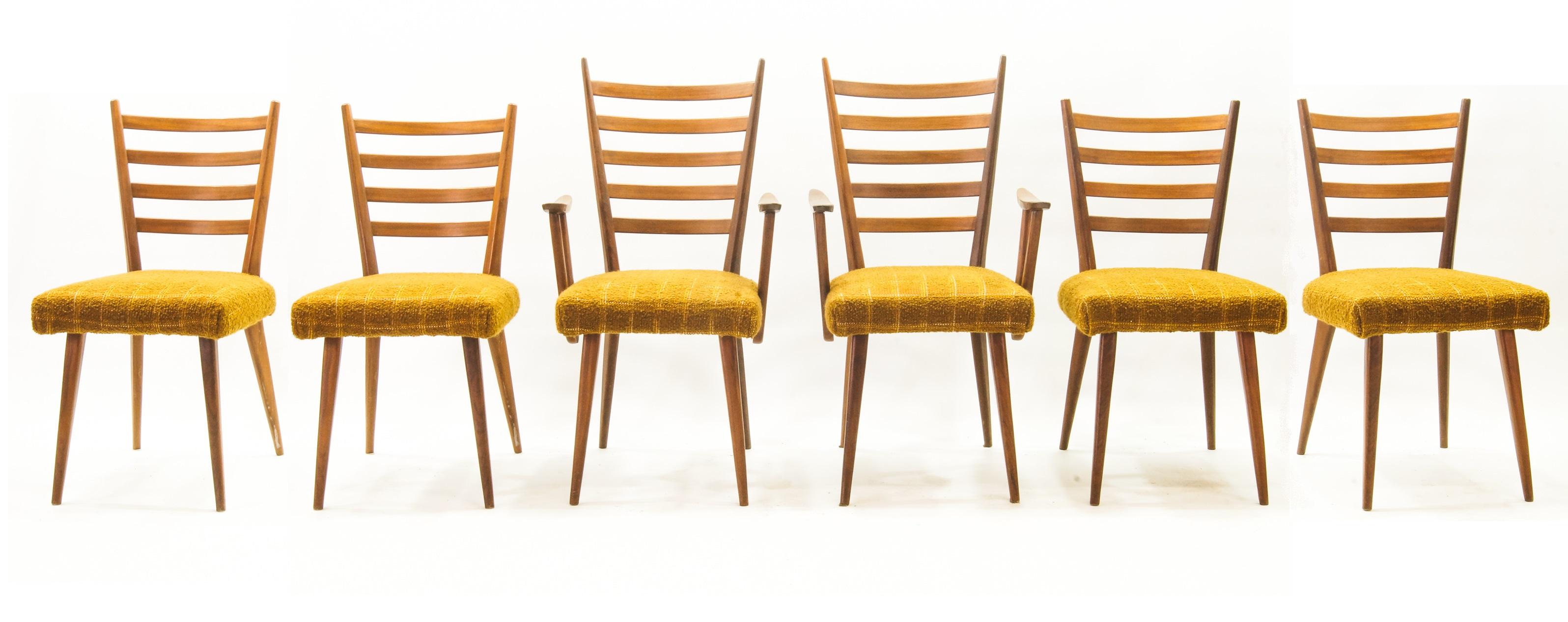 Mid-Century Modern Cees Braakman for Pastoe - Ladder Chairs, 1950's - Dinerset of 6