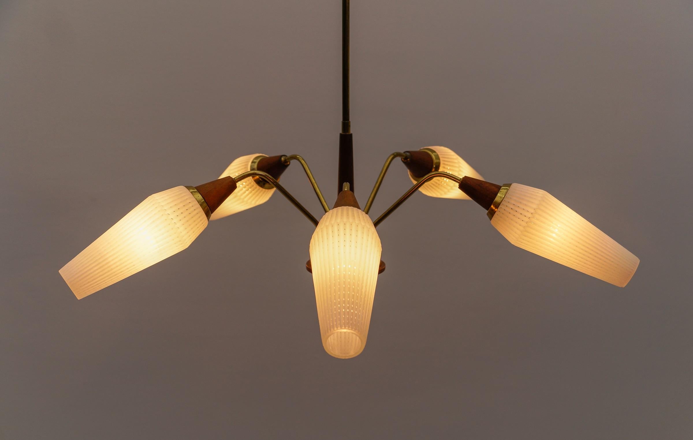 Ceiling 5-Light Sputnik Lamp in Teak, Brass and Glass, 1950s For Sale 1