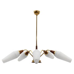 Ceiling 5-Light Sputnik Lamp in Teak, Brass and Glass, 1950s