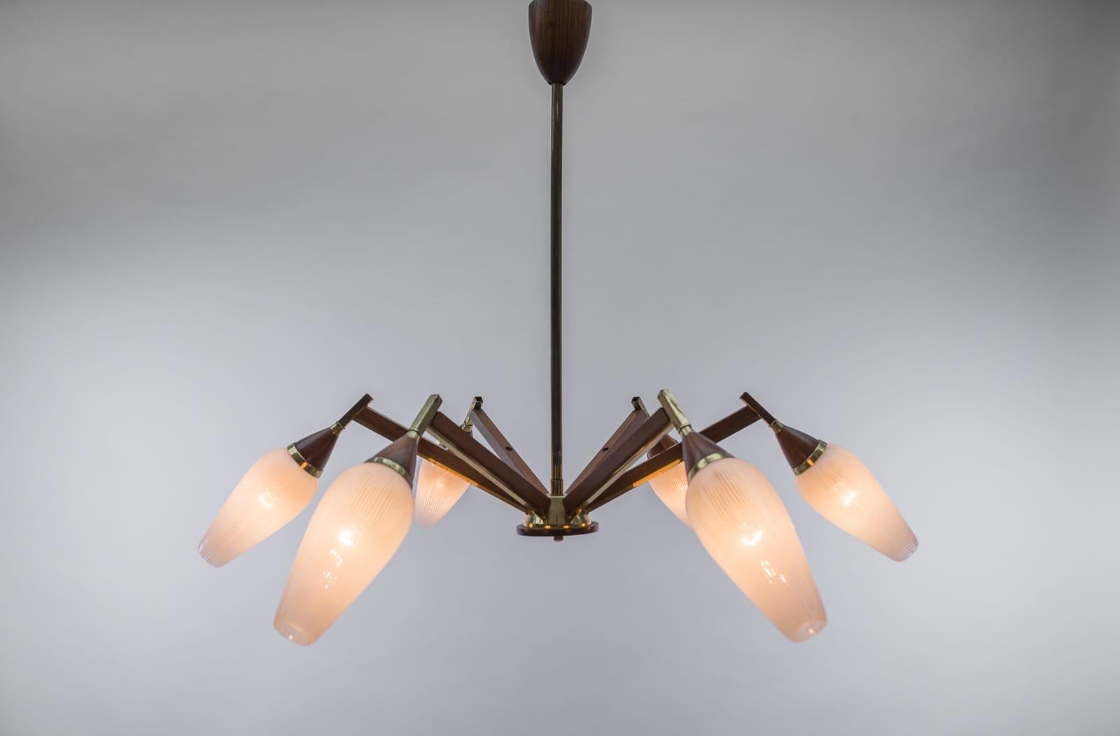 Mid-Century Modern Ceiling 6-Light Sputnik Lamp in Teak, Brass and Glass, 1950s For Sale