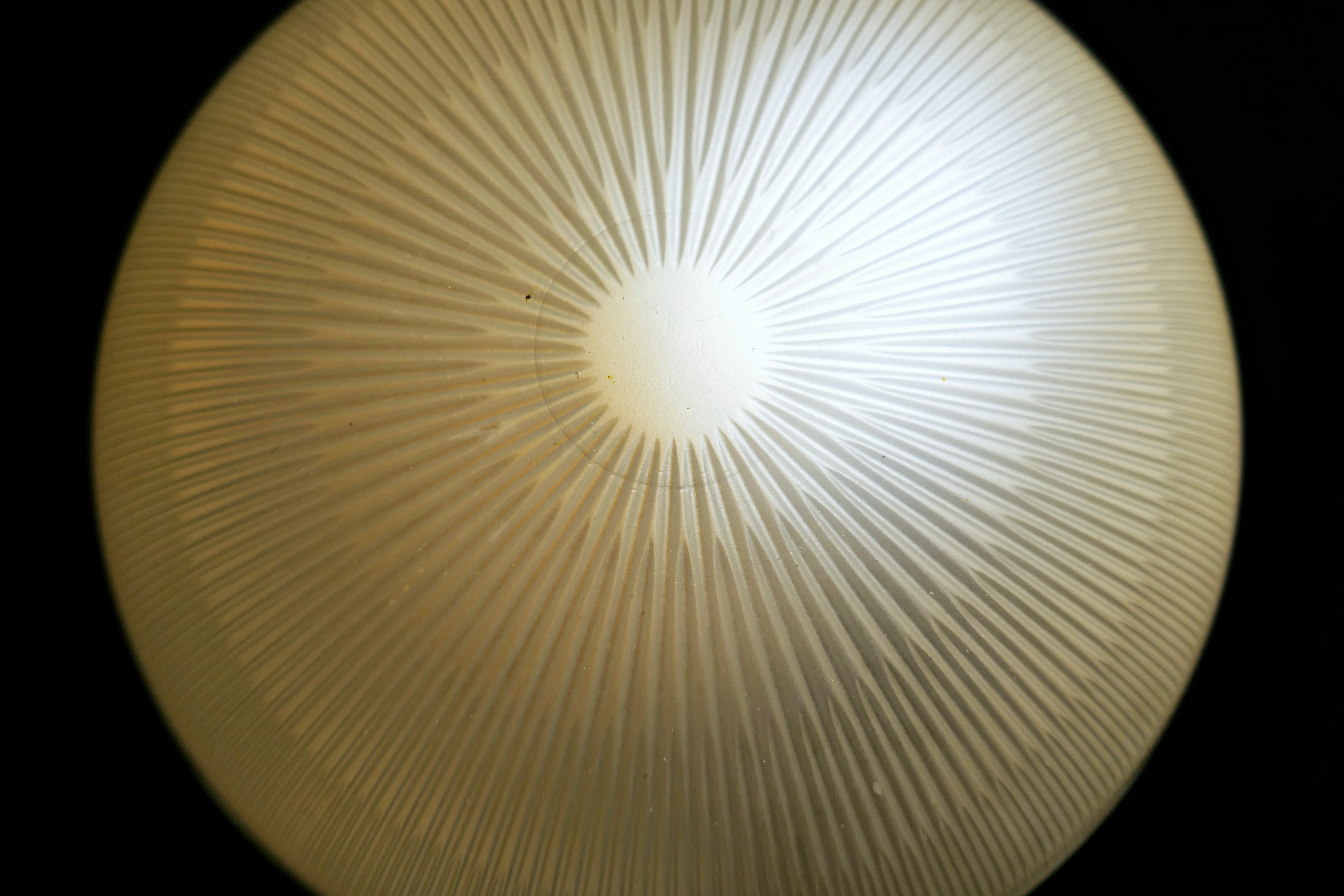 Mid-20th Century Ceiling lamp attributed to Sergio Mazza for Artemide For Sale