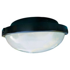 Ceiling lamp attributed to Sergio Mazza for Artemide