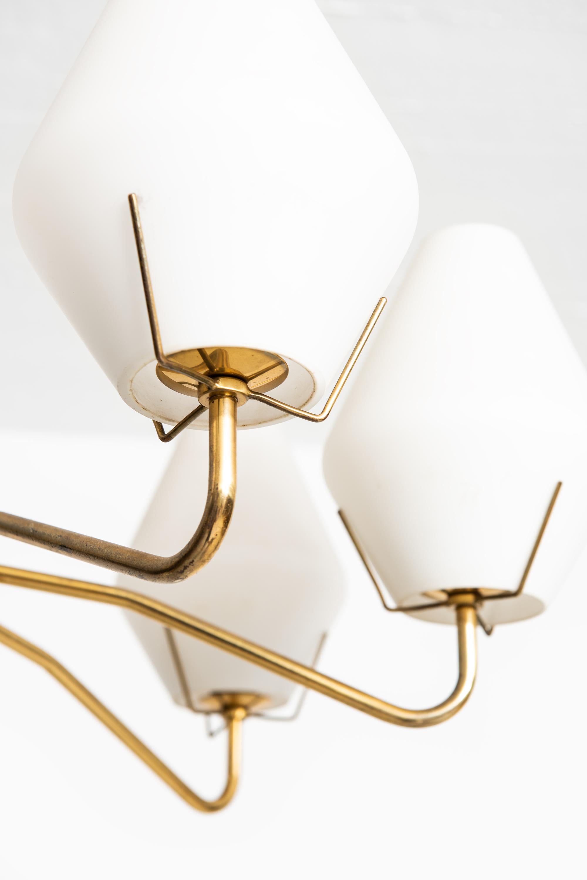 Swedish Ceiling Lamp in Brass and Opaline Glass Produced by ASEA in Sweden For Sale