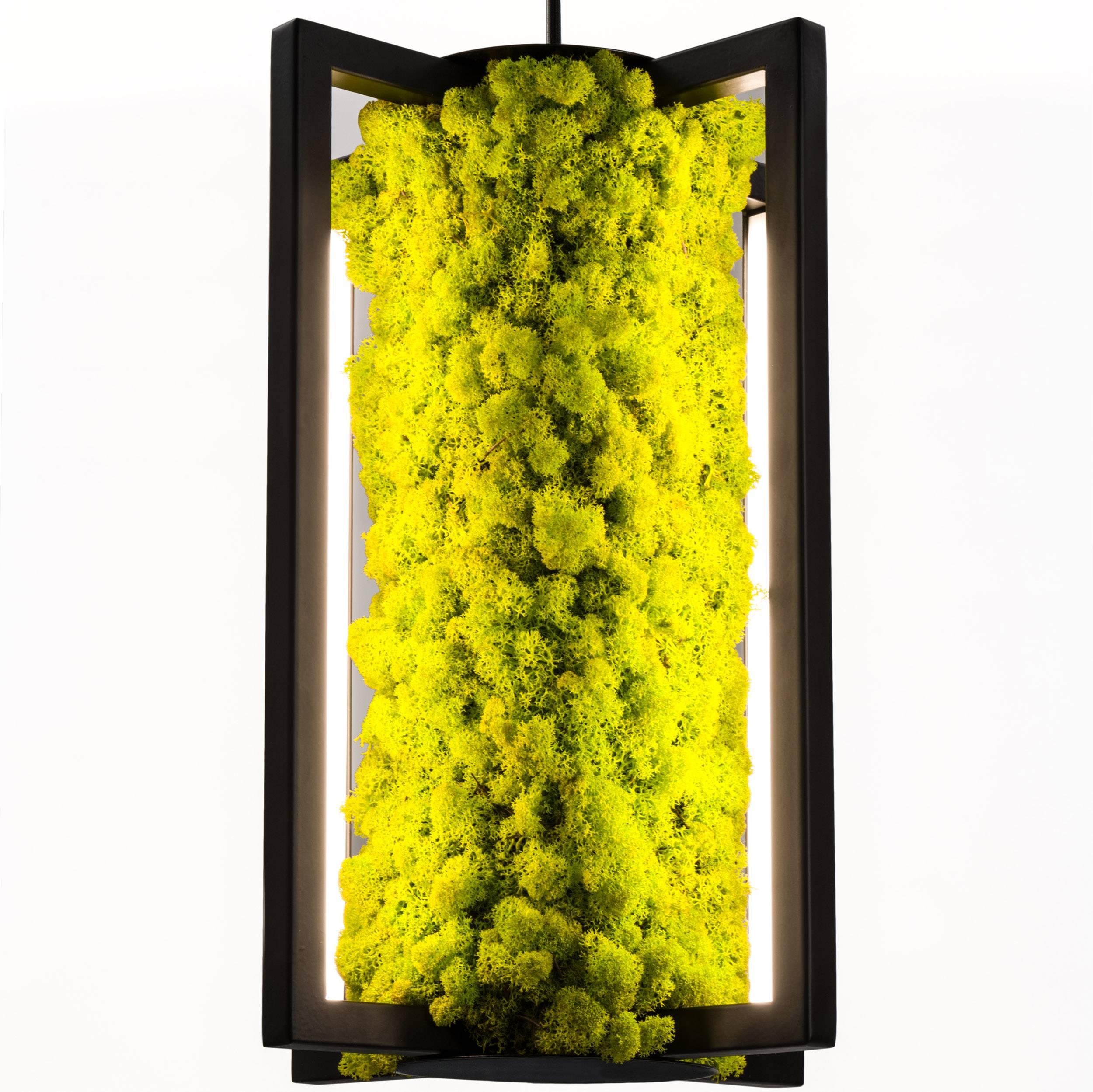 This Scandinavian Minimalist ceiling lamp plays with the Northern charm of moss. We wanted to bring the self-standing “green concept” into the world of lighting. This moss grows naturally in Scandinavia where it is harvested and dried. 

To the eye