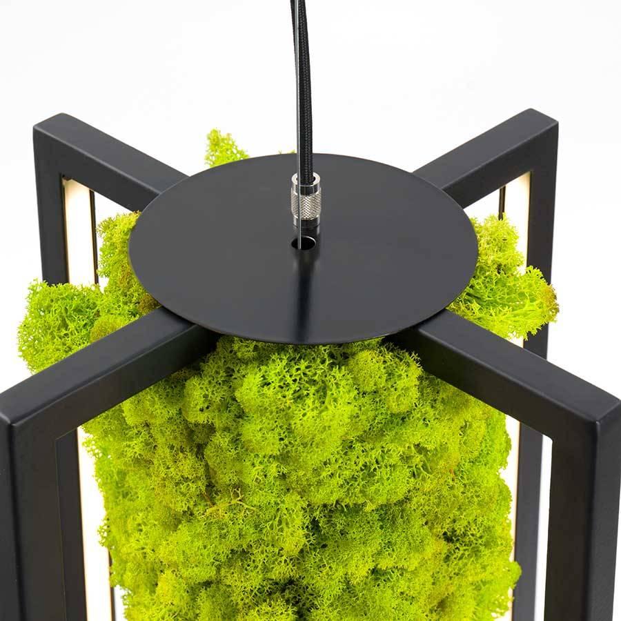 Powder-Coated Italian Handmade Ceiling Lamp in Scandinavian Minimalist Style with Natural Moss For Sale