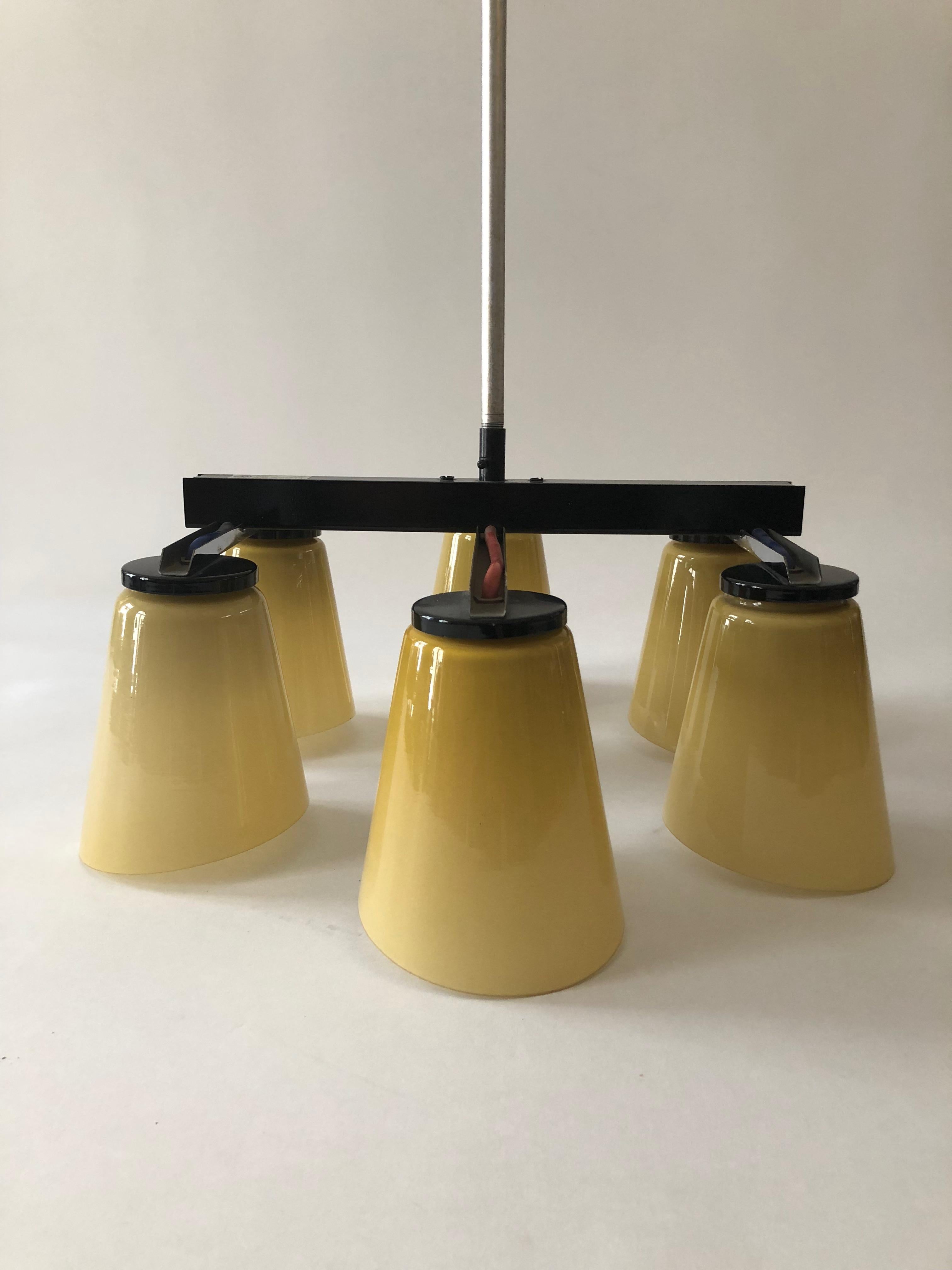 Enameled Ceiling Lamp with 6 Handmade Opaline Glass Shades, 1950s For Sale