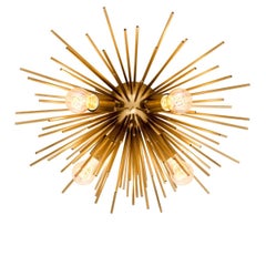 Ceiling Lamp With Matte Brass Finish And Starburst Design