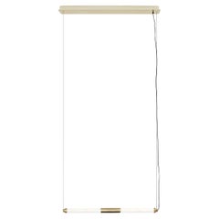 Ceiling Lamps available in many colours  Anti shatter champagne Chrome finish
