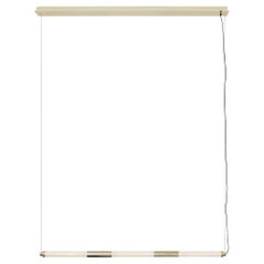 Ceiling Lamps available in many colours  Anti shatter champagne Chrome finish