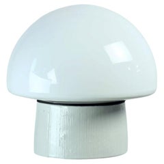 Ceiling Or Wall Lamp In Ceramic & White Opaline Glass, Czechoslovakia 1960s