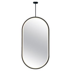 Ceiling Suspended Illuminated Capsule Mirror with Contemporary Black Full Frame