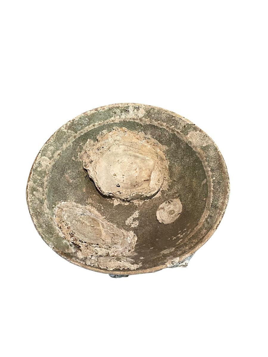 16thc Thailand Sawankhalok celadon ship wreck bowl.
Rare celadon color.
Beautiful and abundant fossil growth from being submerged under water.
Natural original patina.
Part of a very large collection of shipwrecked pottery of different styles and