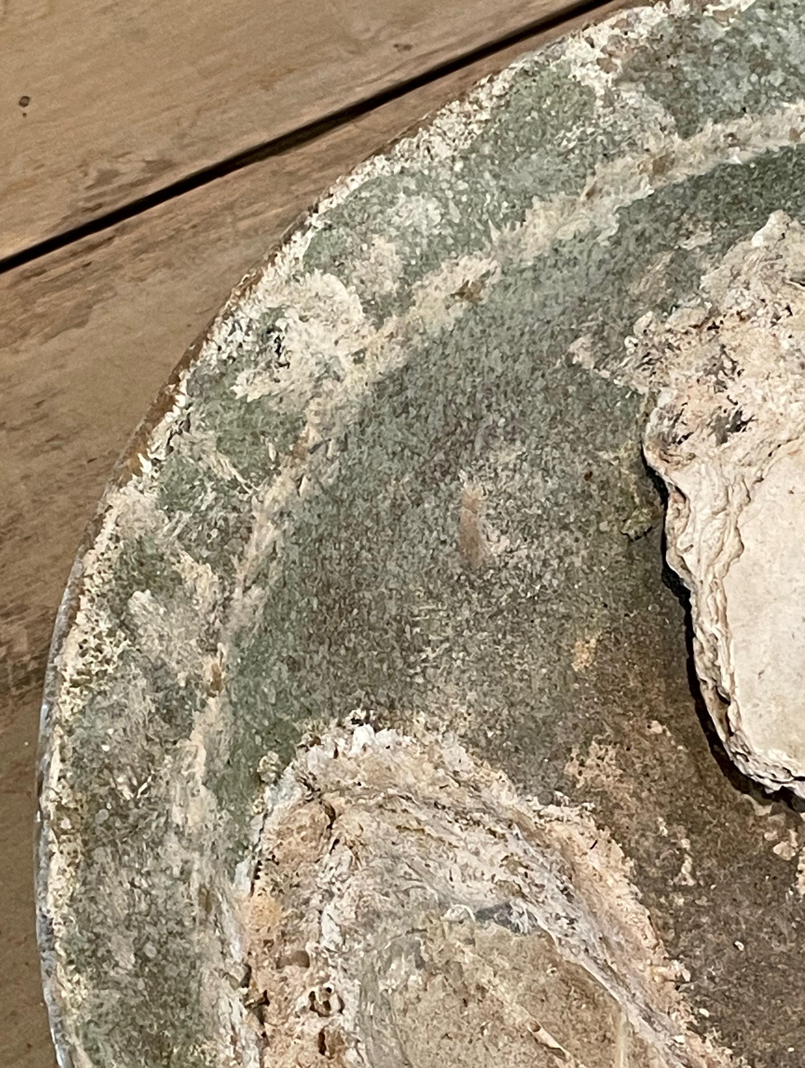 18th Century and Earlier Celadon 16th Century Sawankhalok Fossil Embedded Ship Wreck Bowl, Thailand For Sale