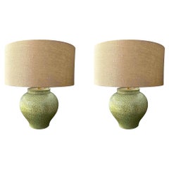 Paire de lampes avec abat-jour à motifs céladon, Chine, Contemporary