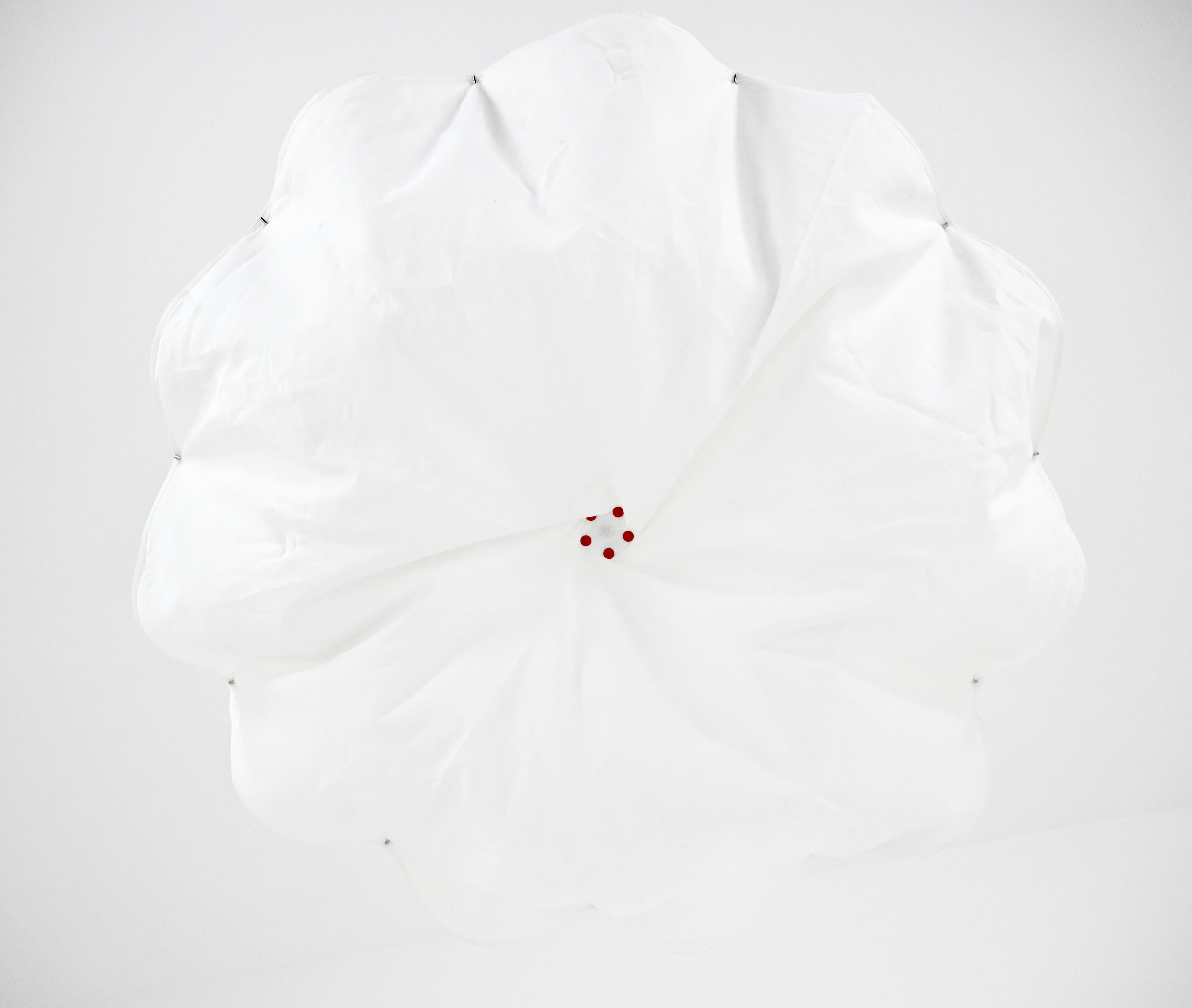 Fine XX secolo Lampada da soffitto 