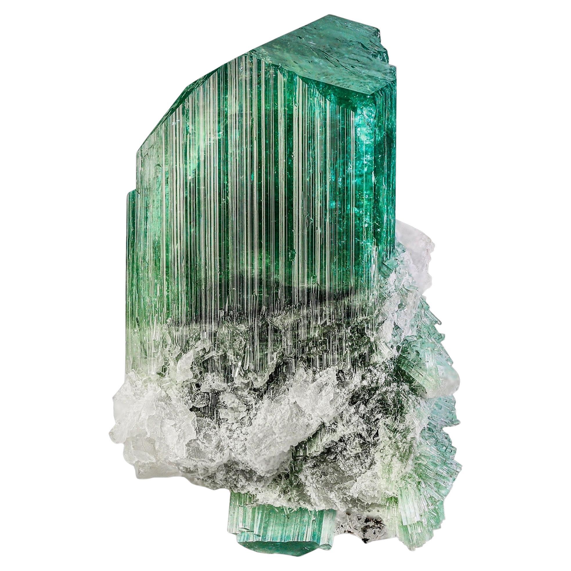 Celestial „New Find“ Smaragdgrüner Turmalinkristall mit weißem Albite-Matrix  im Angebot
