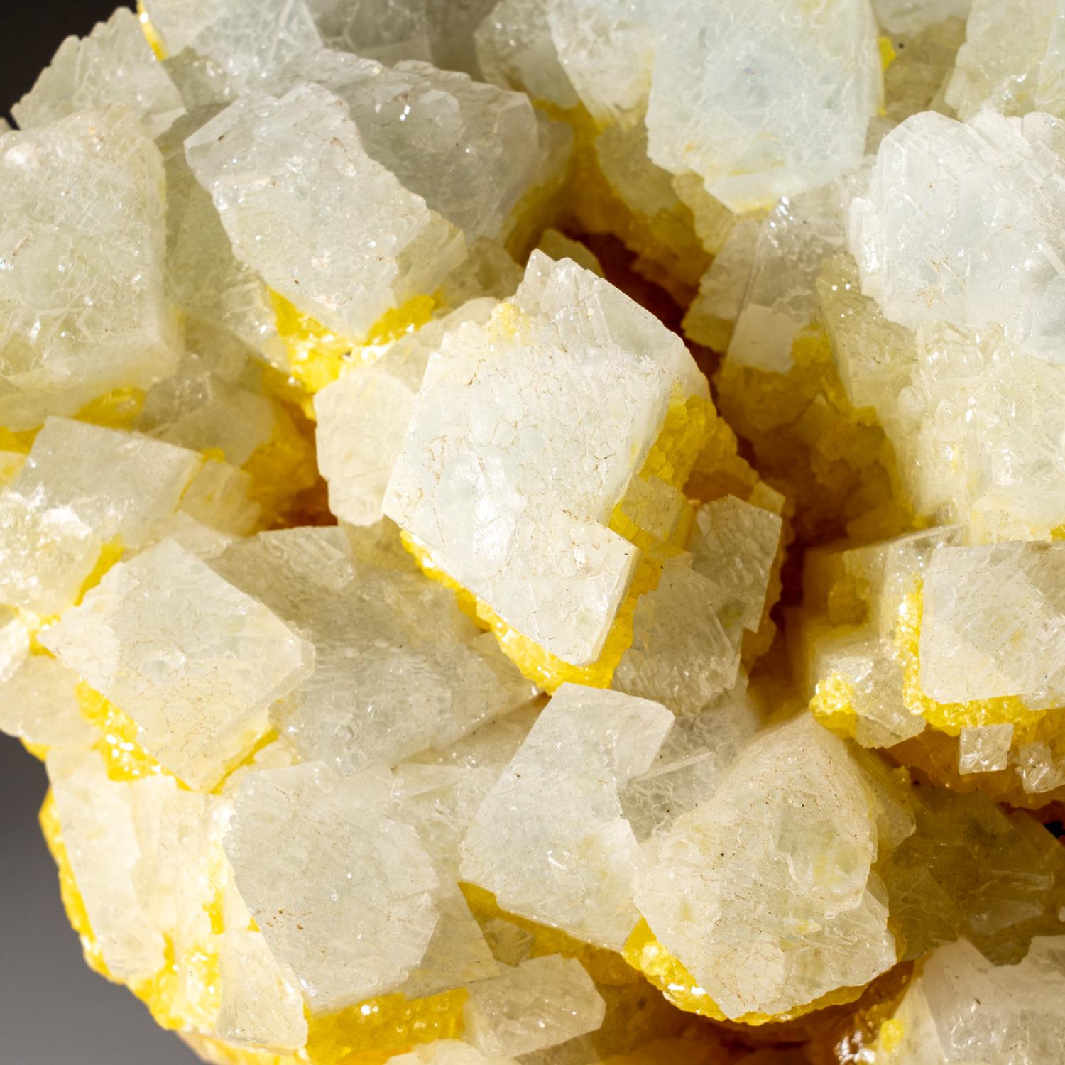 From La Grasta Mine, Delia, Caltanissetta Province, Sicily, Italy

Colorless translucent prismatic celestine crystals with lustrous crystal faces, on crystallized translucent yellow sulfur.


Weight: 4.7 lbs, Size: 5 x 3 x 5 inches