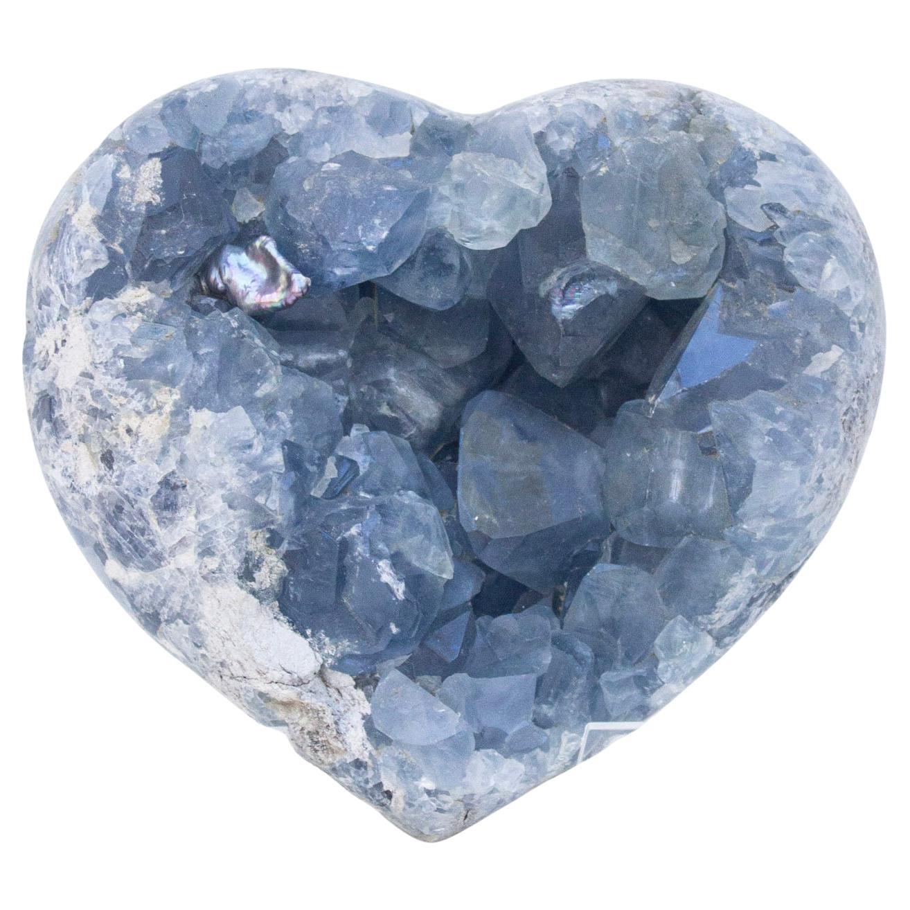 Celestite Heart Shaped Geode with Natural Forming Baroque Pearl