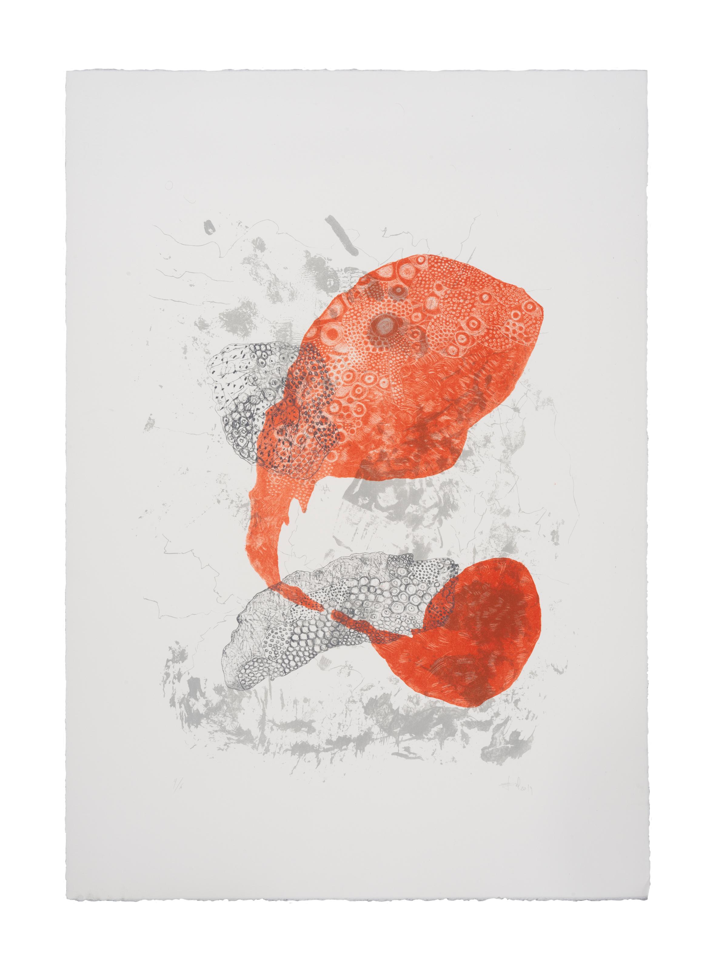 Litografia - Carta DFK Rives, 270gr - 2021 - 800€
Ed. 4/6

