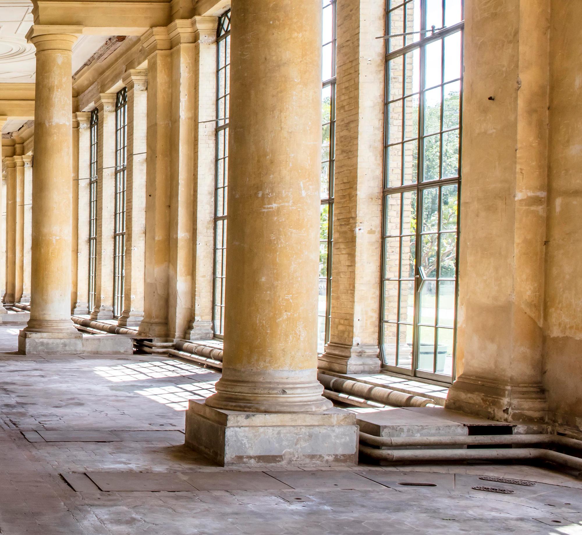 L'Orangerie Abandonnée. De la série Grand Interiors - Marron Color Photograph par Celia Rogge