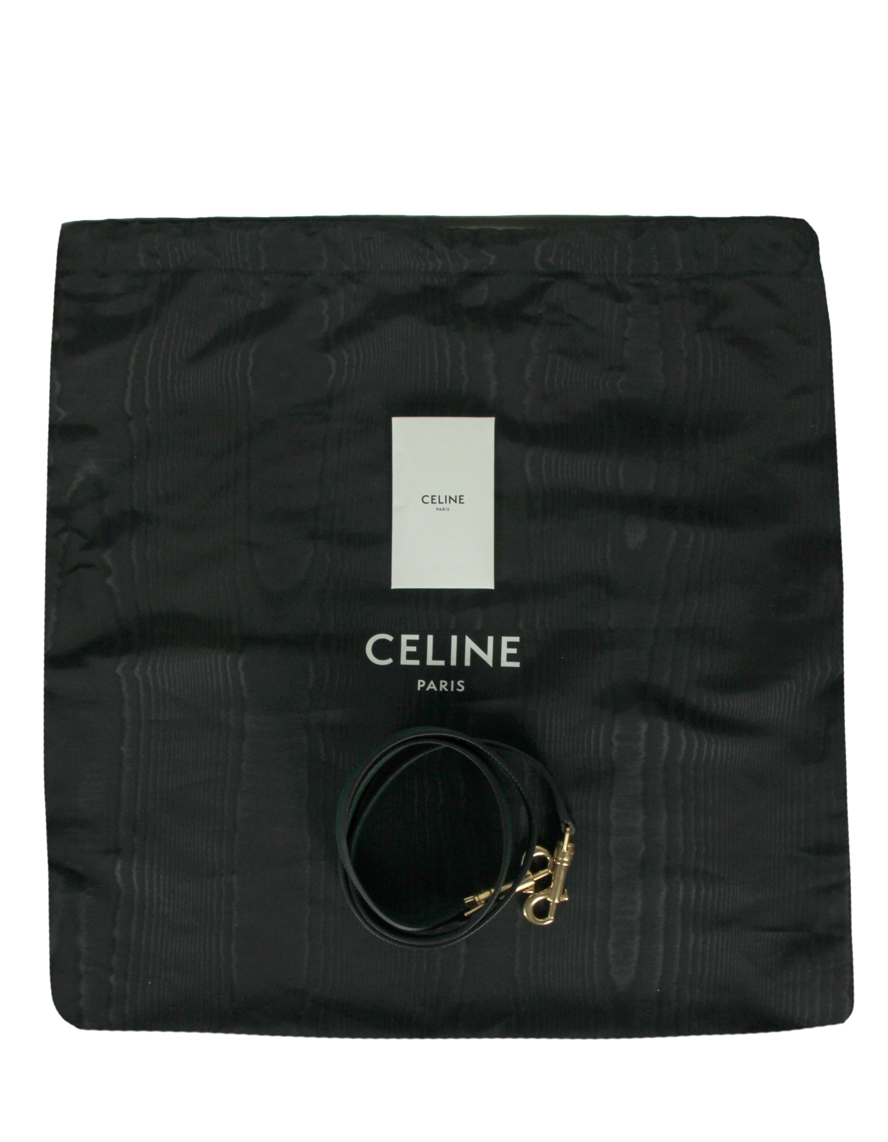 Celine Amazone Grained Leather Micro Belt Crossbody Bag rt $3, 350 6