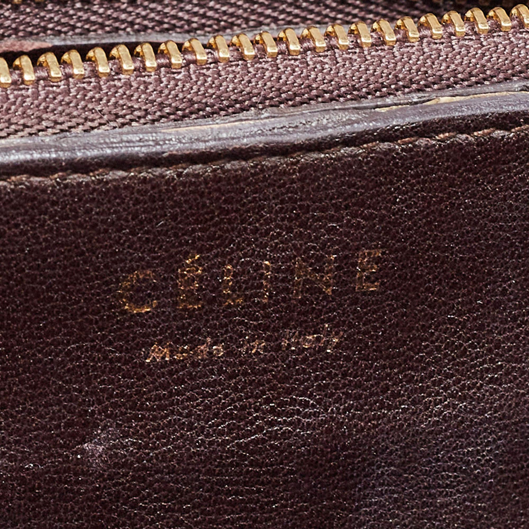 Celine Beige/Grey Python Medium Classic Box Shoulder Bag 3