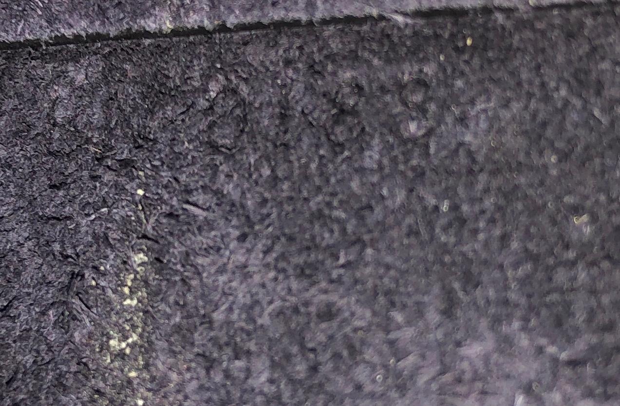 Celine Belt Bag Textured Leather Nano 1