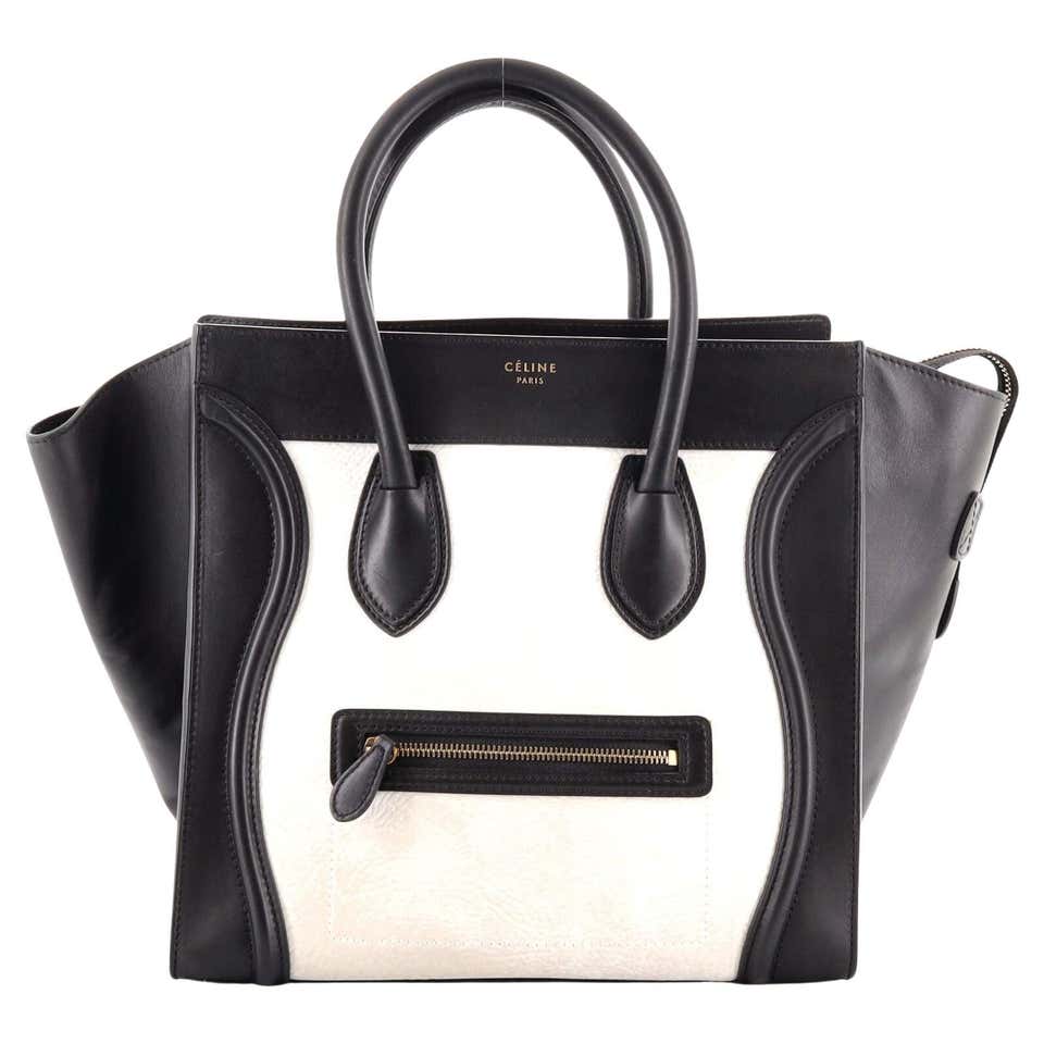Celine Luggage Handbag Python Nano at 1stDibs