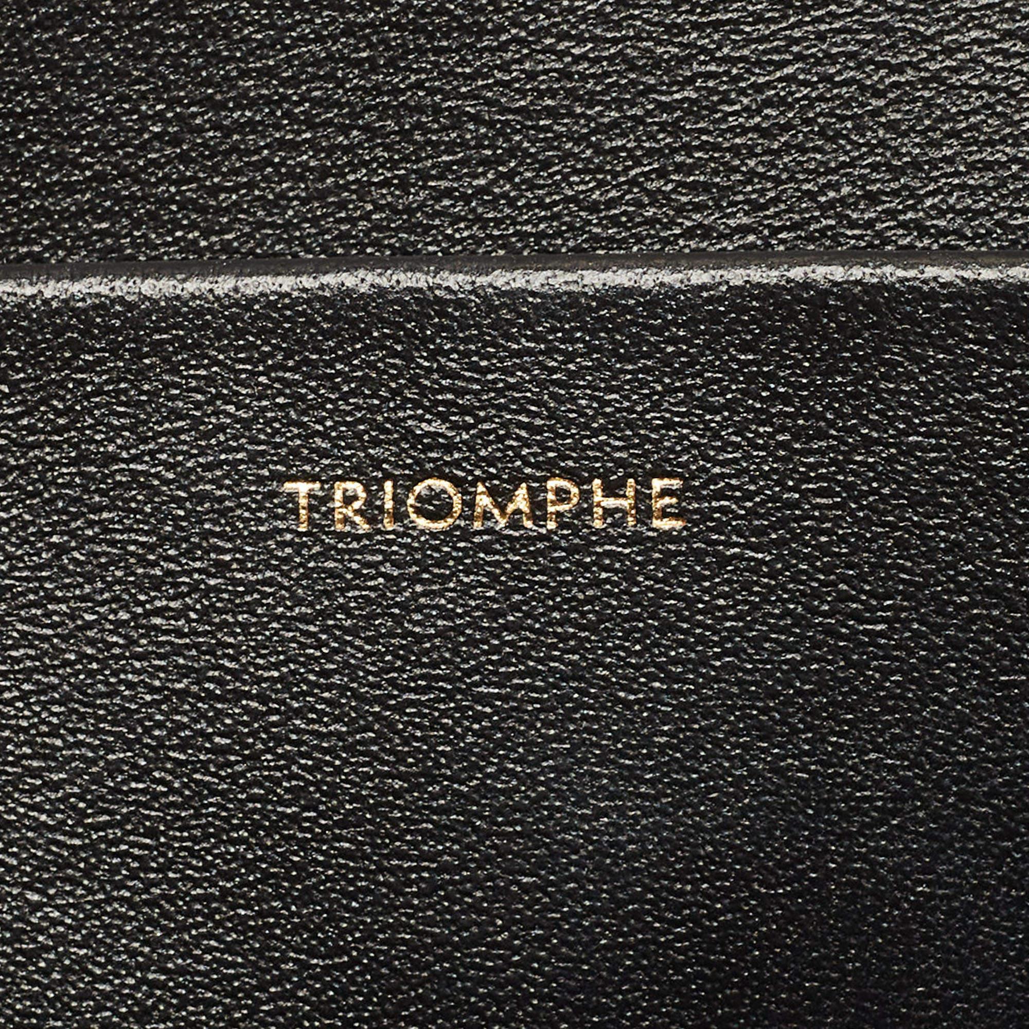 Celine Black Shiny Leather Triomphe Shoulder Bag 6