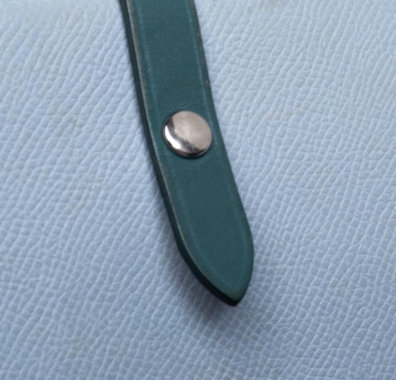 Celine Blue/Green Leather Multifunction Strap Wallet For Sale 1