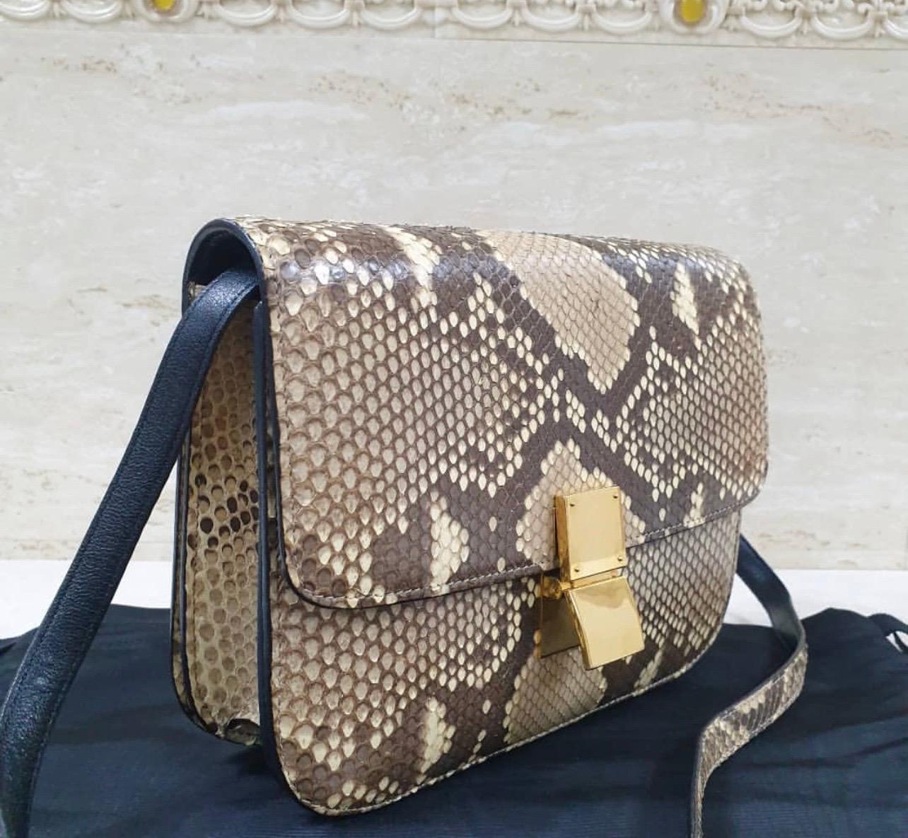 Gray Celine Box Python Large Bag