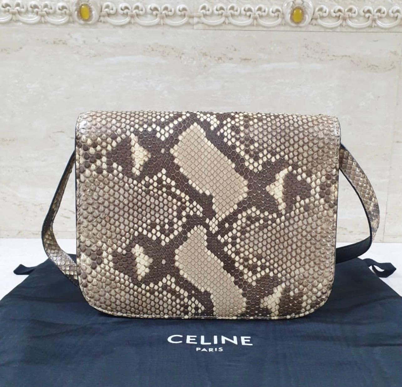 Celine Box Python Large Bag In Excellent Condition In Krakow, PL