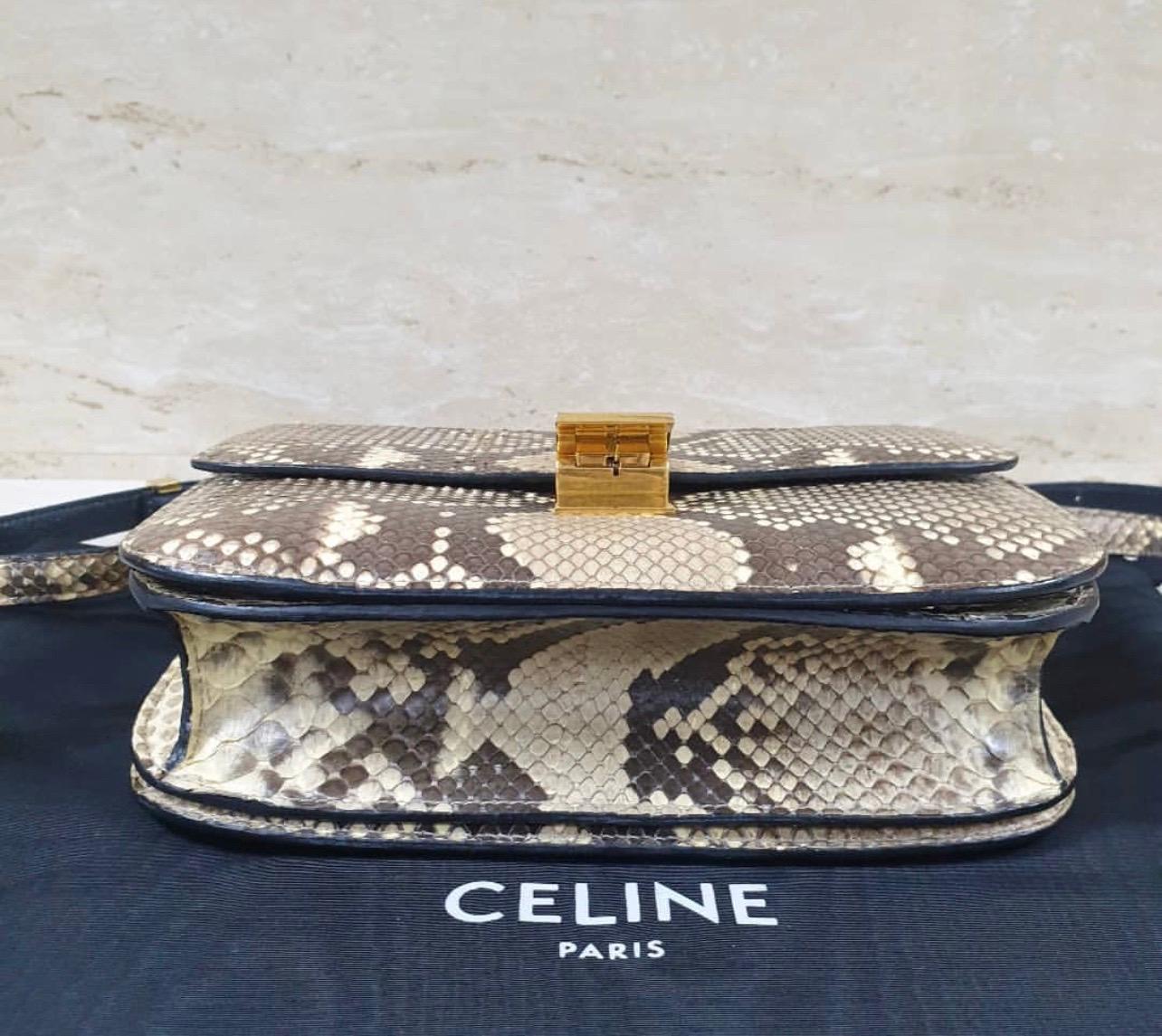 Men's Celine Box Python Large Bag