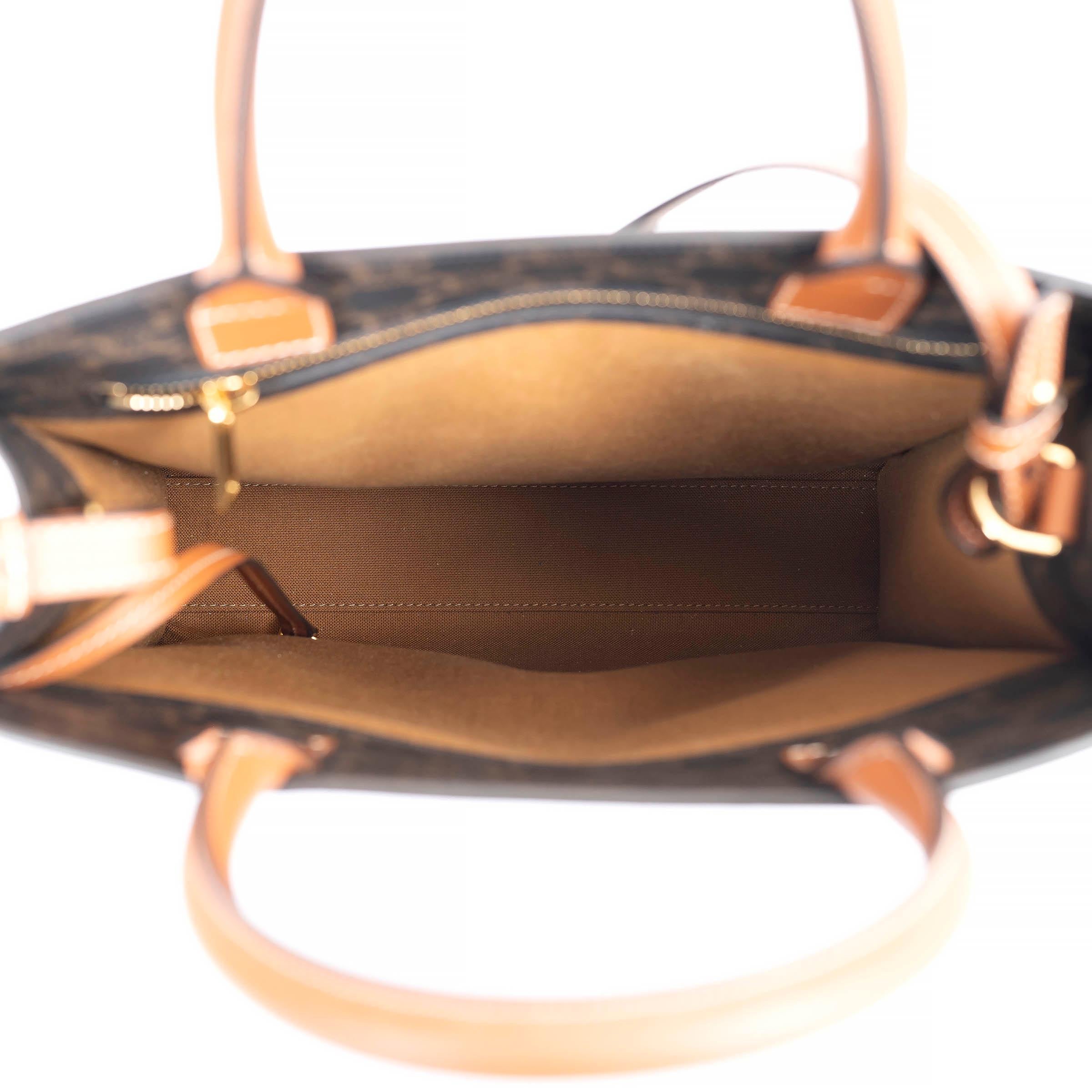 Women's CELINE brown canvas SMALL TRIOMPHE VERTICAL CABAS Tote Bag