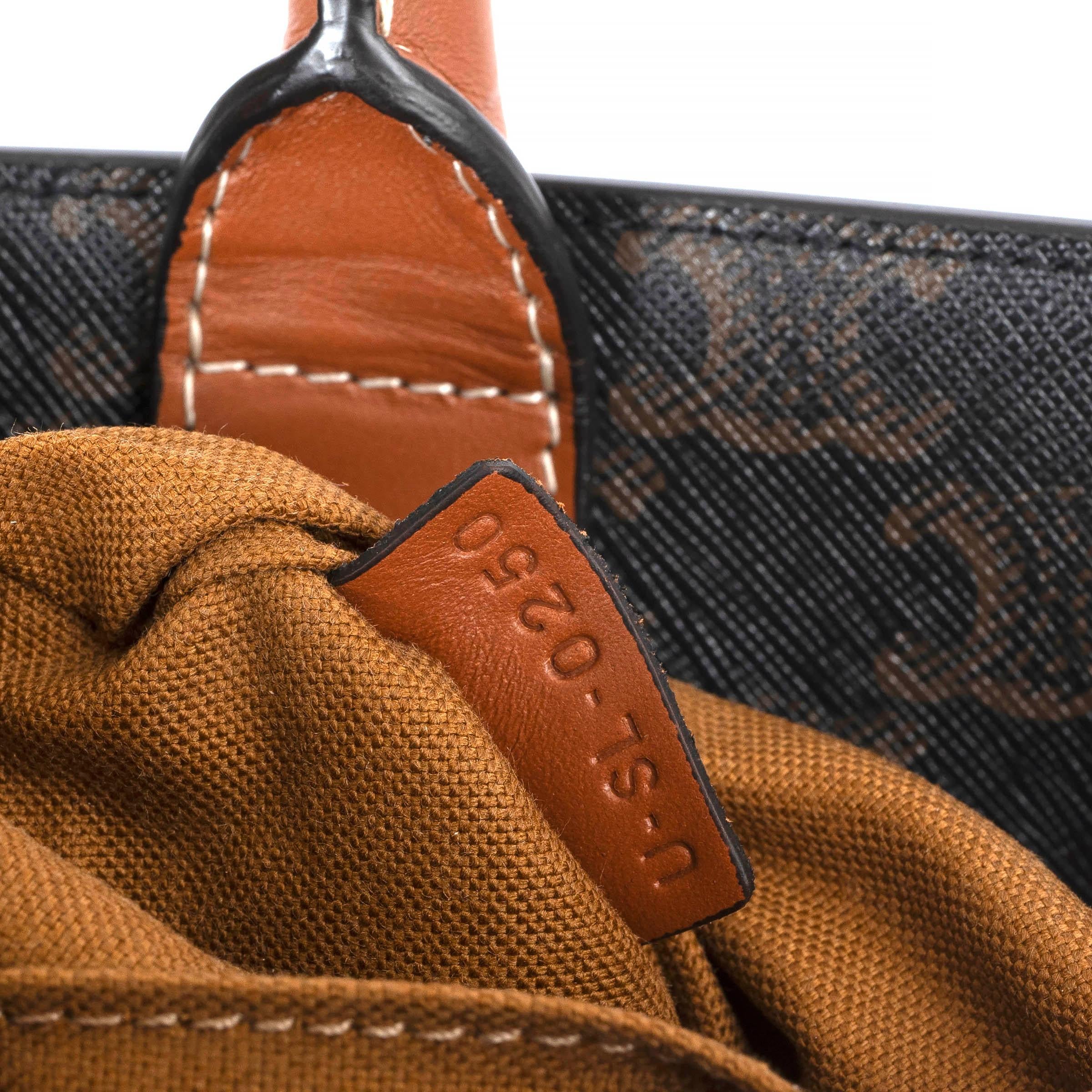 CELINE brown canvas SMALL TRIOMPHE VERTICAL CABAS Tote Bag 1