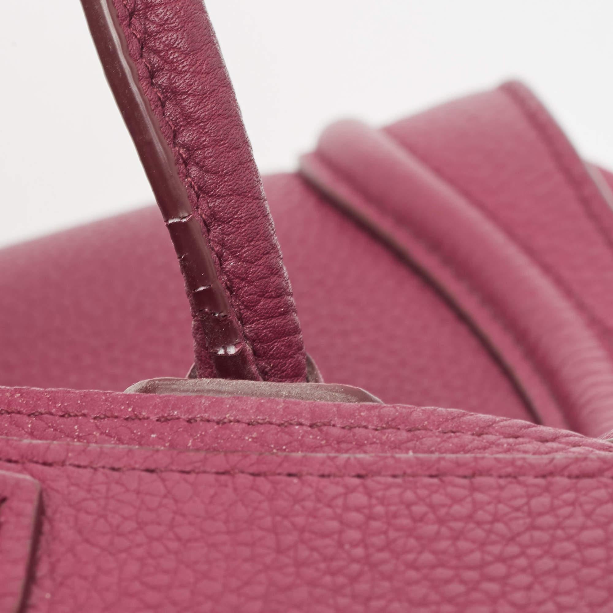 Celine Burgundy Leather Nano Luggage Tote Bag 6