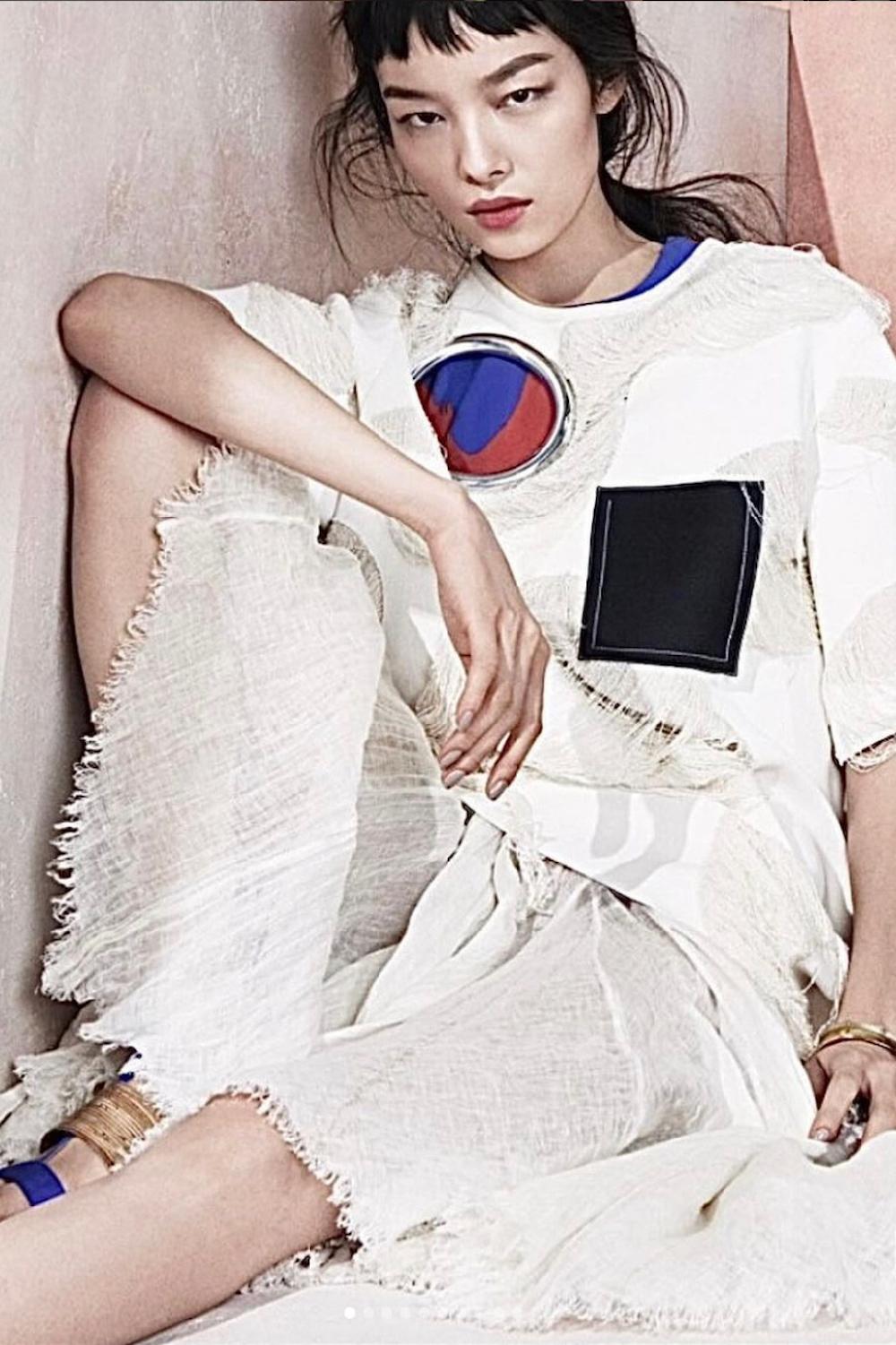 Céline by Phoebe Philo Raw Edge Gauze Skirt S/S 2014 4