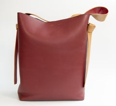 Celine by Phoebe Philo Twisted Cabas Bag Multicolor Leather